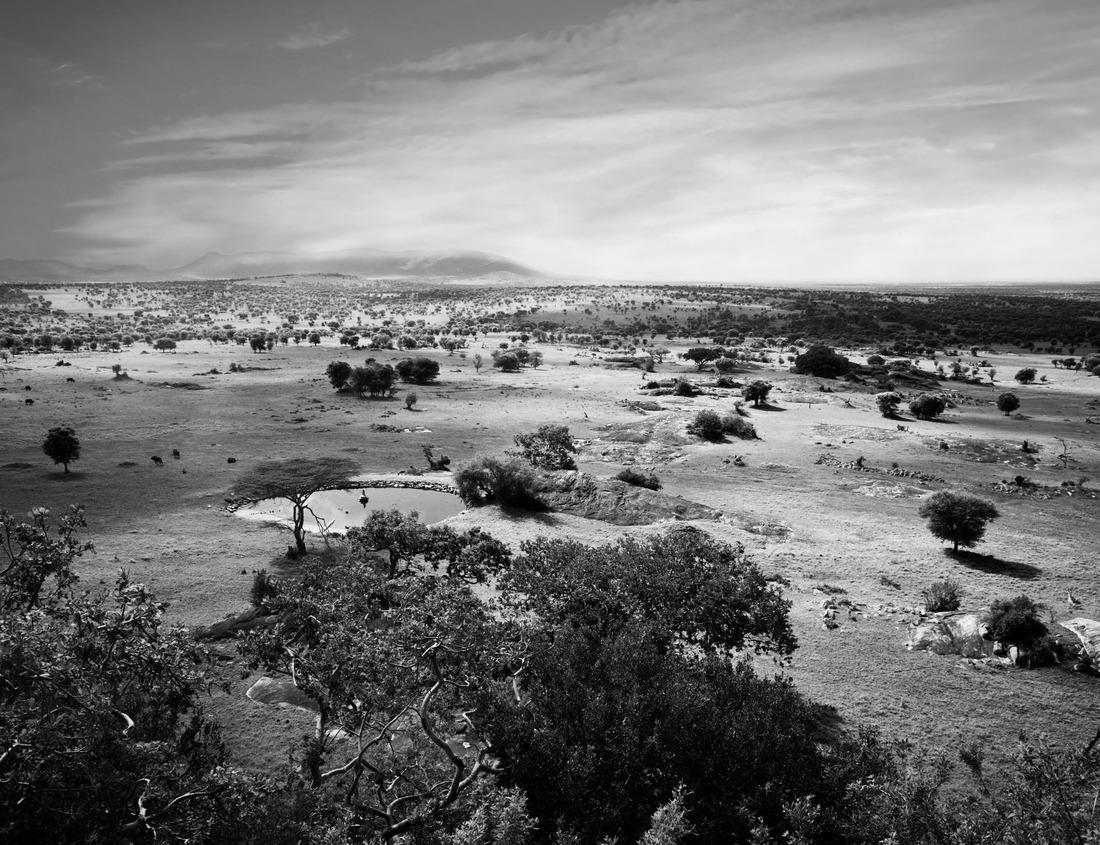 Noah Jigsaw Puzzle A dusty road, Malawi in black white 1000 pieces