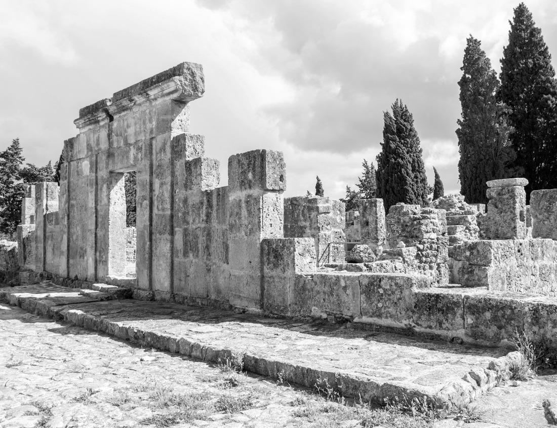 Noah Jigsaw Puzzle Historic building in the city center Frederick Maryland at the Corroll Creek Promenade in black white 1000 pieces