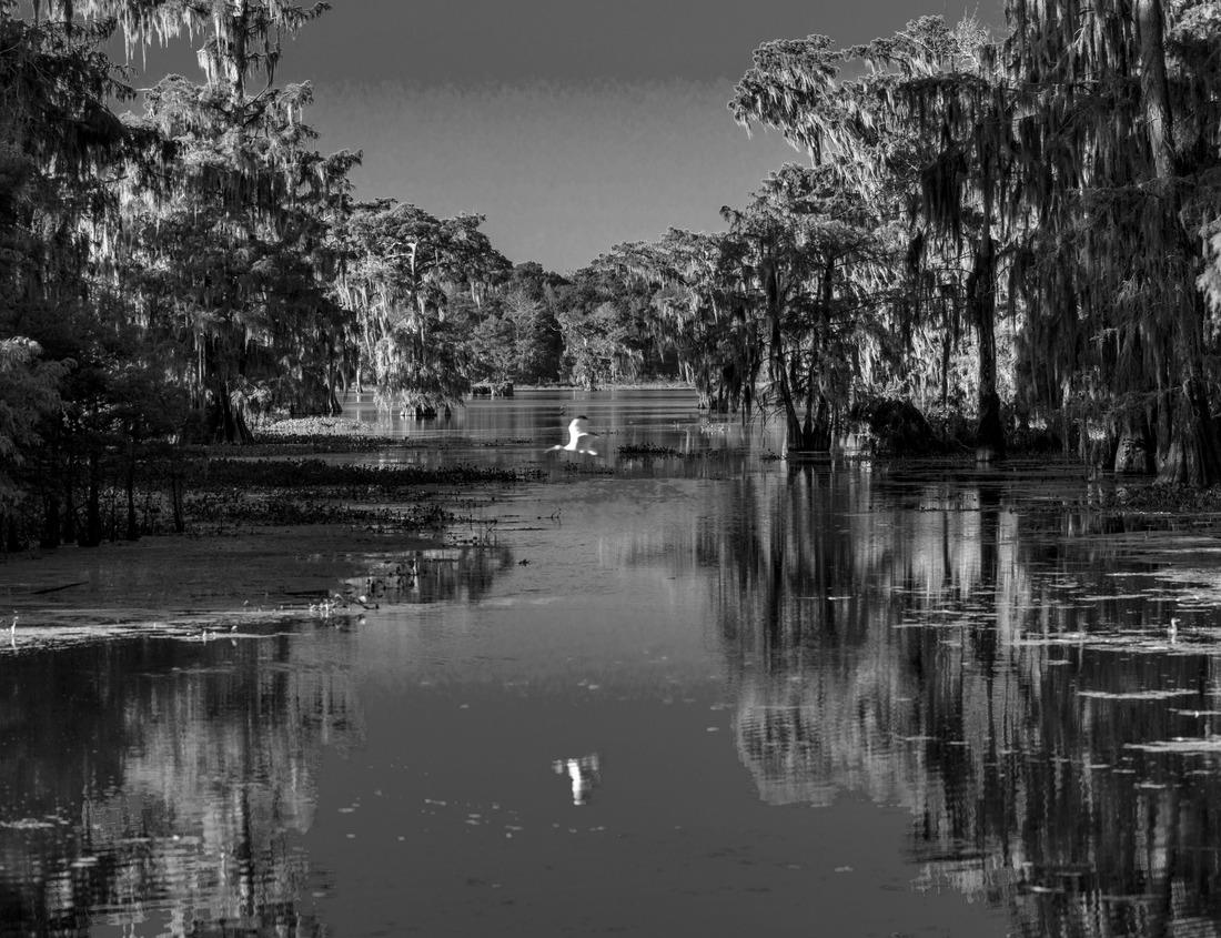 Noah Jigsaw Puzzle Beautiful coastal town Scilla in Calabria. Italy in black white 1000 pieces