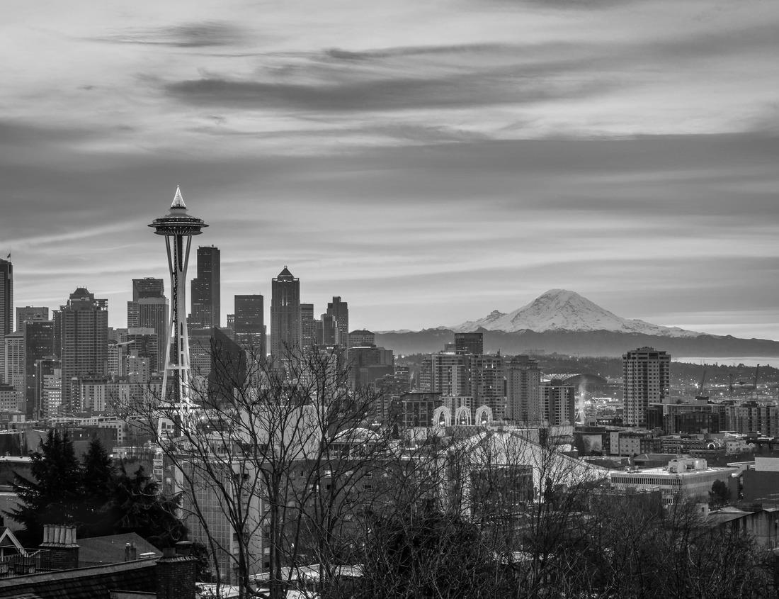 Noah Jigsaw Puzzle El Capitan and Merced River in the fall, California-USA in black white 1000 pieces