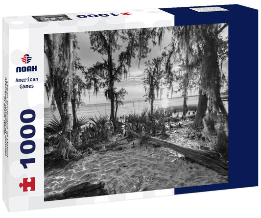 Noah Jigsaw Puzzle Urban landscape of Detroit Michigan glowing at sunrise in black white 1000 pieces