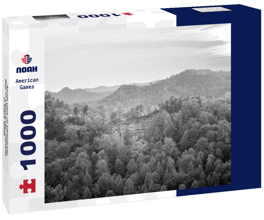 Noah Jigsaw Puzzle Aerial view of Vancouver Bay in Vancouver, Canada in black white 1000 pieces