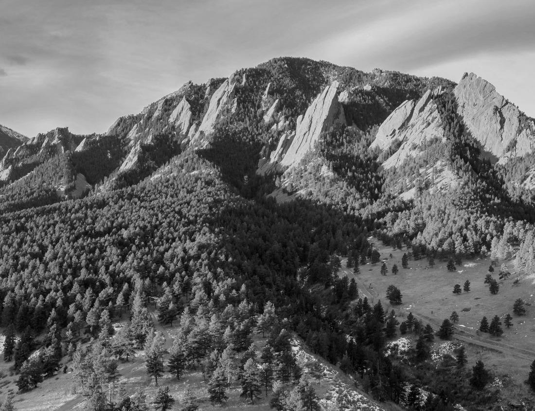 Noah Jigsaw Puzzle Exterior of the Kansas State Capital Building in Topeka, Kansas in black white 1000 pieces