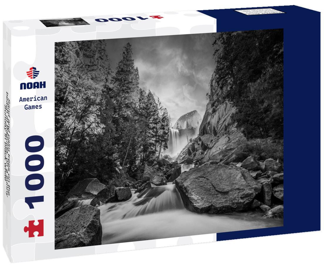 Noah Jigsaw Puzzle Sand and palm trees on the beach at Baguida, on a sunny Sunday in black white 1000 pieces