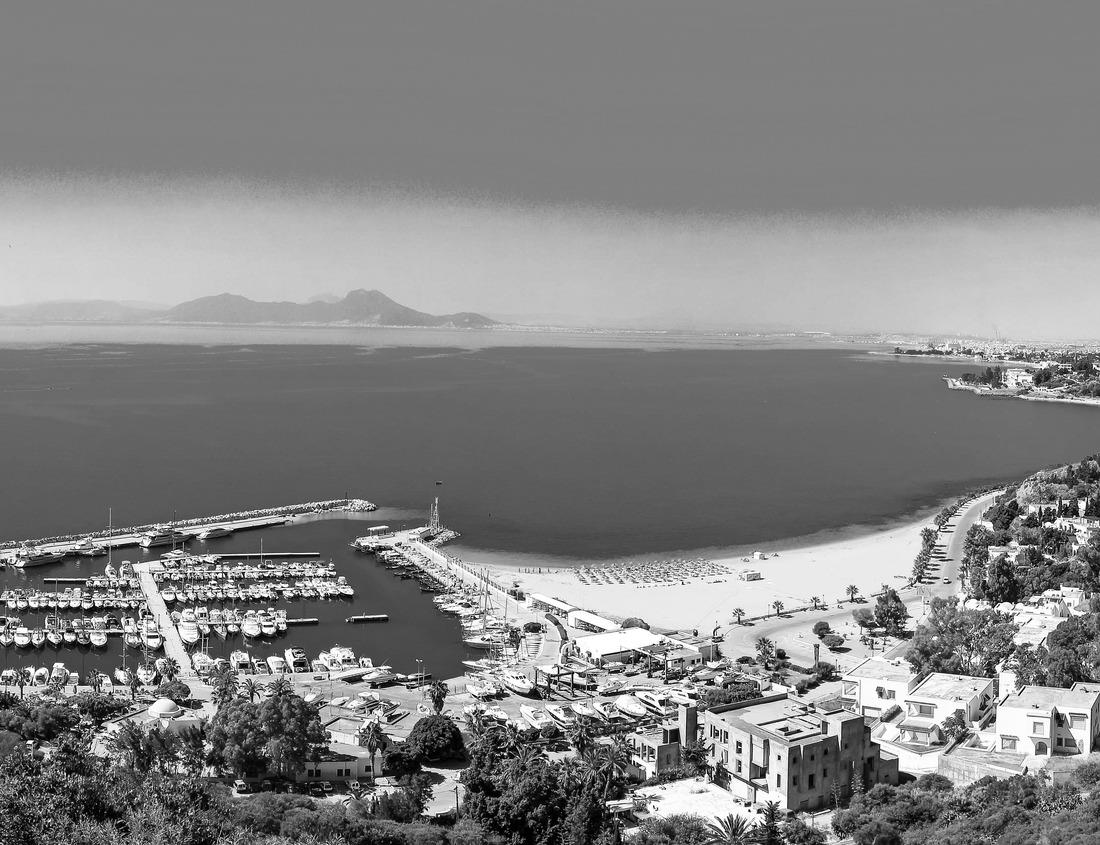 Noah Jigsaw Puzzle Gold capped Colorado State Capitol building located in Denver in black white 1000 pieces