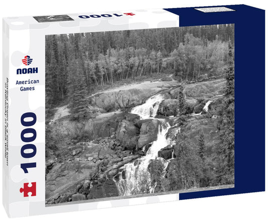 Noah Jigsaw Puzzle Bowling Green is a small town in Kentucky in black white 1000 pieces