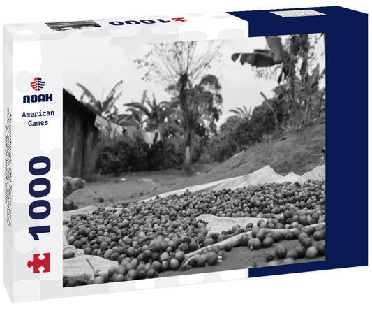 Noah Jigsaw Puzzle Nuremberg's Old Town on a sunny autumn day, Germany in fall in black white 1000 pieces