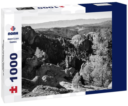 Noah Jigsaw Puzzle Boston harbour Skyline at night in black white 1000 pieces