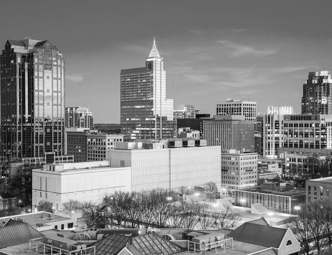 Noah Jigsaw Puzzle Little River Woodstock Georgia in black white 1000 pieces