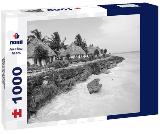 Noah Jigsaw Puzzle Hamburg townhall and Alster river in black white 1000 pieces