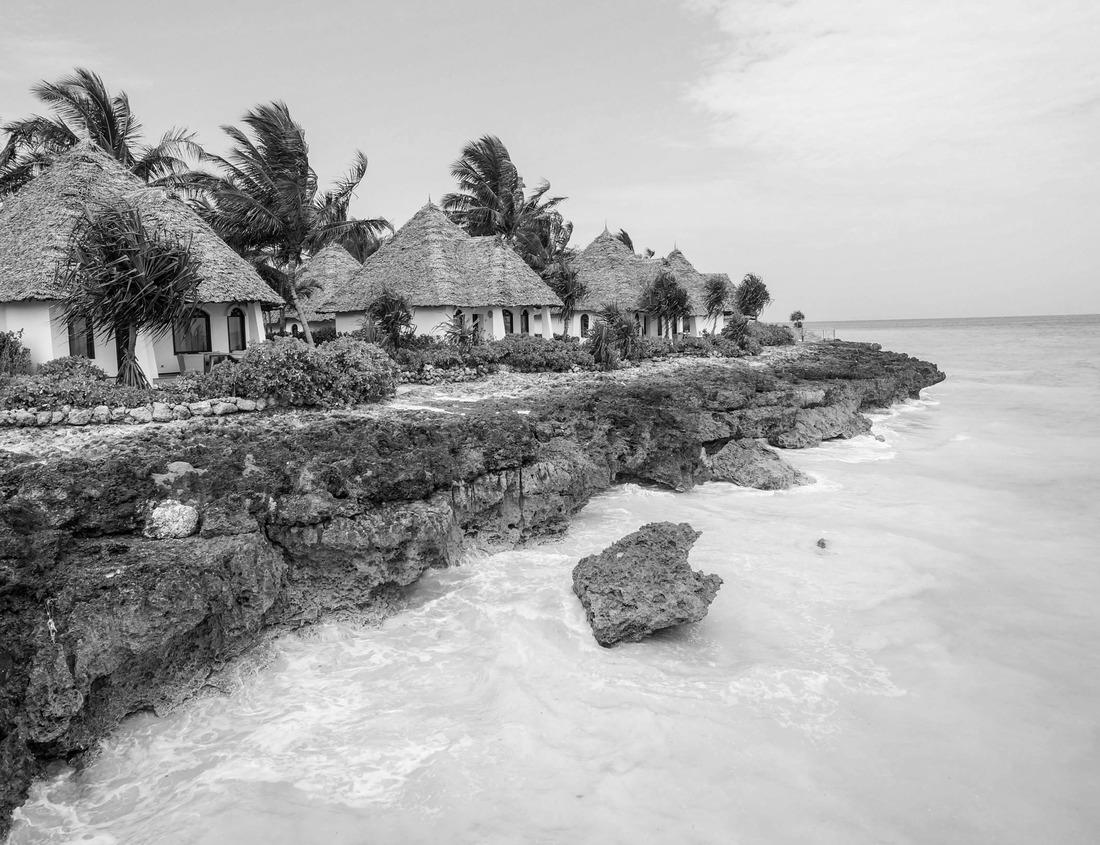 Noah Jigsaw Puzzle Hamburg townhall and Alster river in black white 1000 pieces