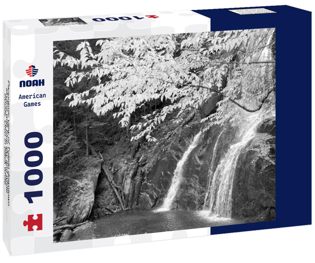 Noah Jigsaw Puzzle Panoramic view of Toledo downtown skyline with blue sky and white clouds, Ohio in black white 1000 pieces