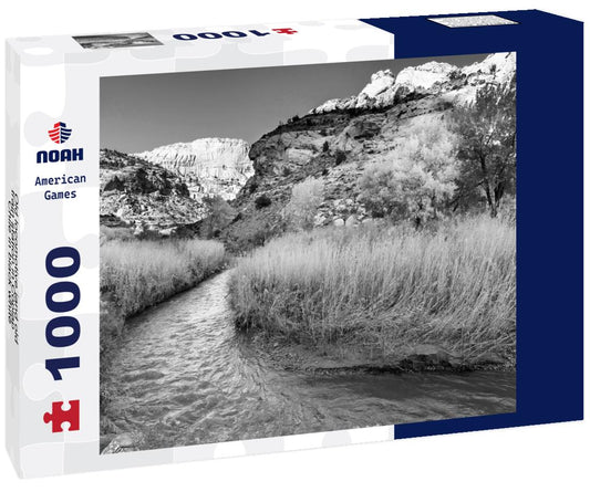 Noah Jigsaw Puzzle Old locomotive iand old train station in Copiapó, Chile in black white 1000 pieces