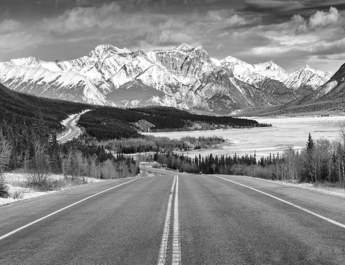Noah Jigsaw Puzzle Canada Geese (Branta canadensis) at Giant Springs State Park in Great Falls, Montana in black white 1000 pieces