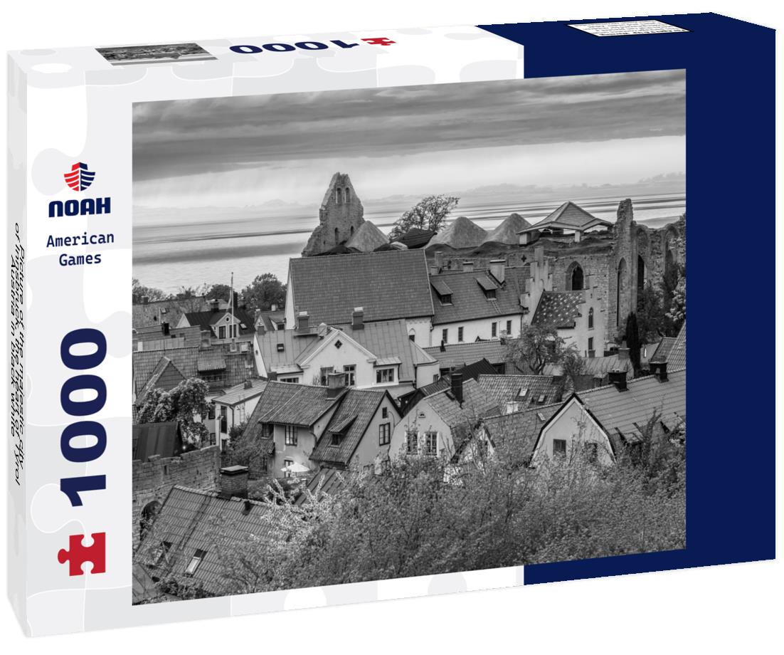 Noah Jigsaw Puzzle Picture of the majestic city of Innsbruck, the heart of Tyrol-Austria in black white 1000 pieces