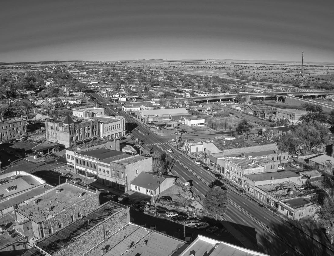 Noah Jigsaw Puzzle Chicago, Illinois, USA Skyline in downtown Lincoln Park at dusk in black white 1000 pieces
