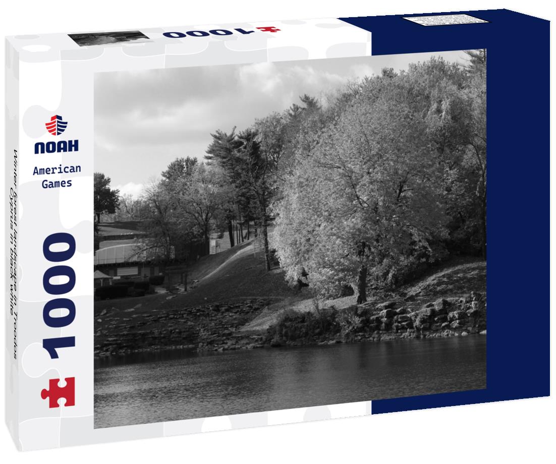 Noah Jigsaw Puzzle Winter forest landscape in Troodos, Cyprus in black white 1000 pieces