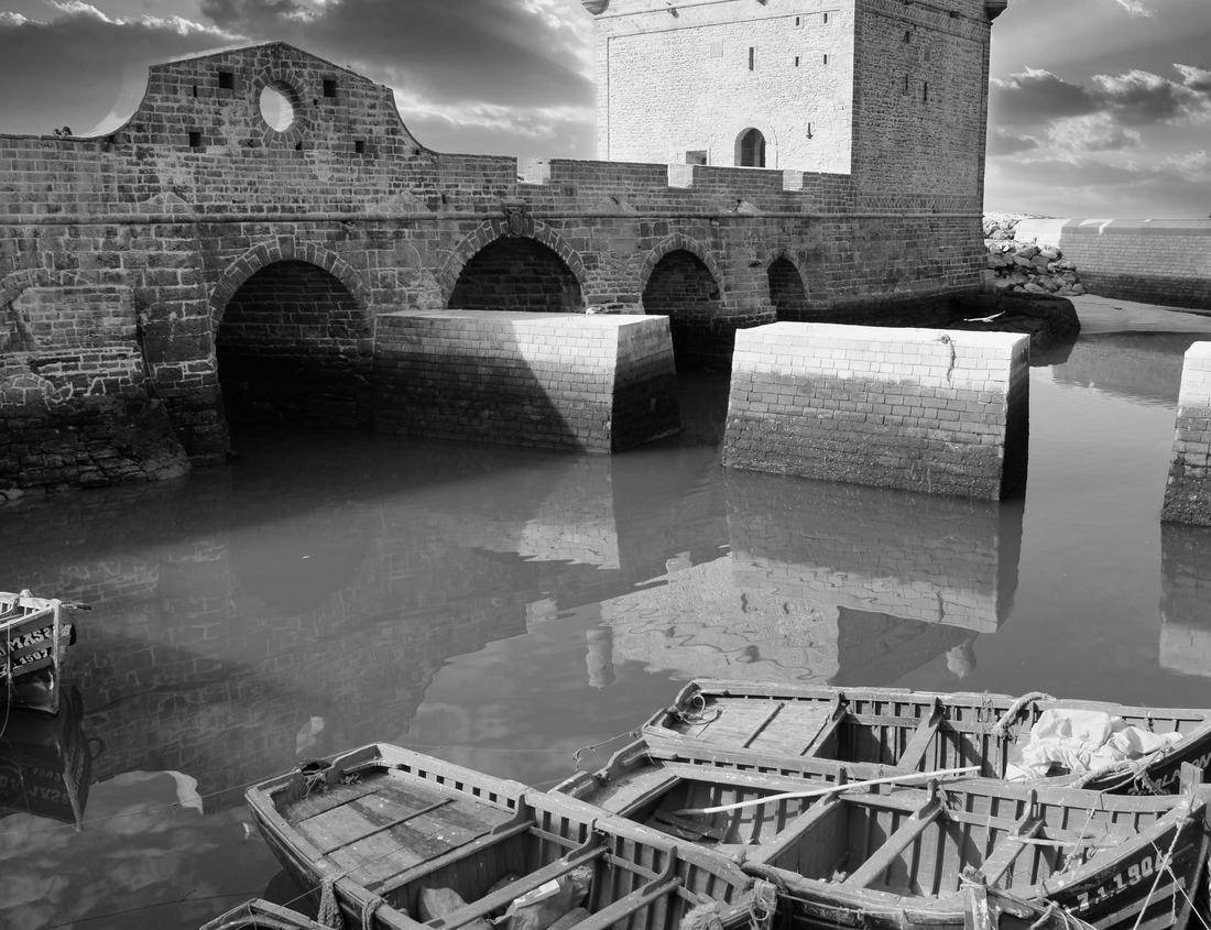 Noah Jigsaw Puzzle Lafayette, Louisiana, USA - White Egret flies in Cajun Swamp & Lake Martin, near Breaux Bridge and Lafayette Louisiana in black white 1000 pieces