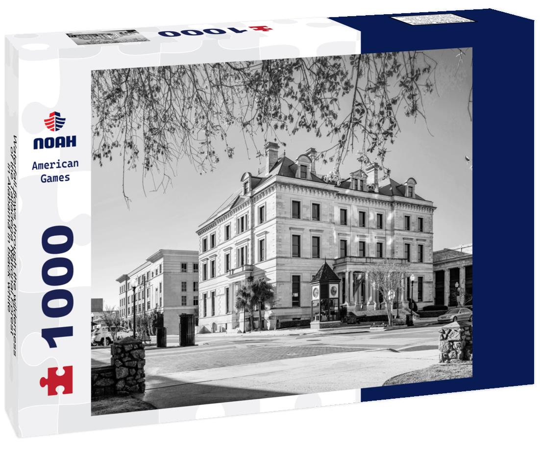 Noah Jigsaw Puzzle Waterfall flows through the wilderness of the Talladega National Forest in Alabama in black white 1000 pieces