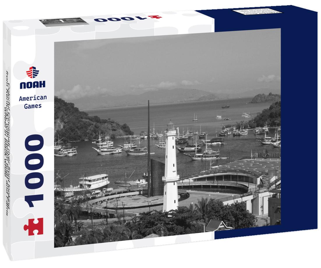 Noah Jigsaw Puzzle Colorful Cincinnati river front looking from Kentucky with steam boat and Farris wheel in black white 1000 pieces