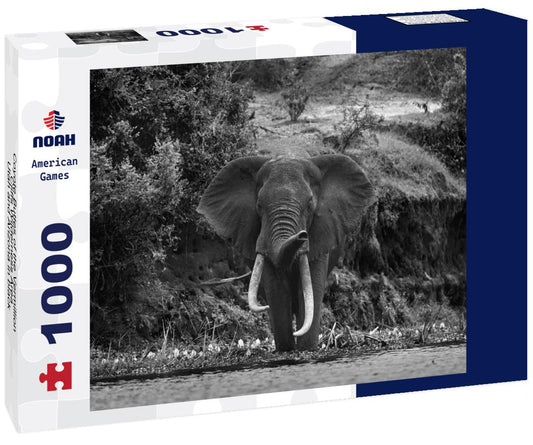 Noah Jigsaw Puzzle Coyote Buttes of the Vermillion Cliffs Wilderness Area, Utah and Arizona in black white 1000 pieces