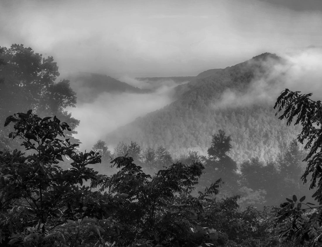 Noah Jigsaw Puzzle Flock of sheep traveling with flock of sheep in village in desert landscape. Chhad N'Djamena, in the Sahel desert and Sahara. Hot weather in desert climate at Chari River, Chad in black white 1000 pieces