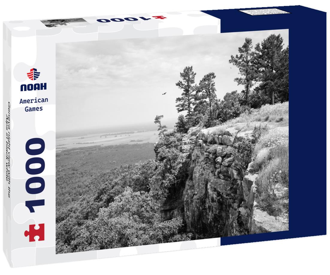 Noah Jigsaw Puzzle Geneva night view with the Alps in black white 1000 pieces