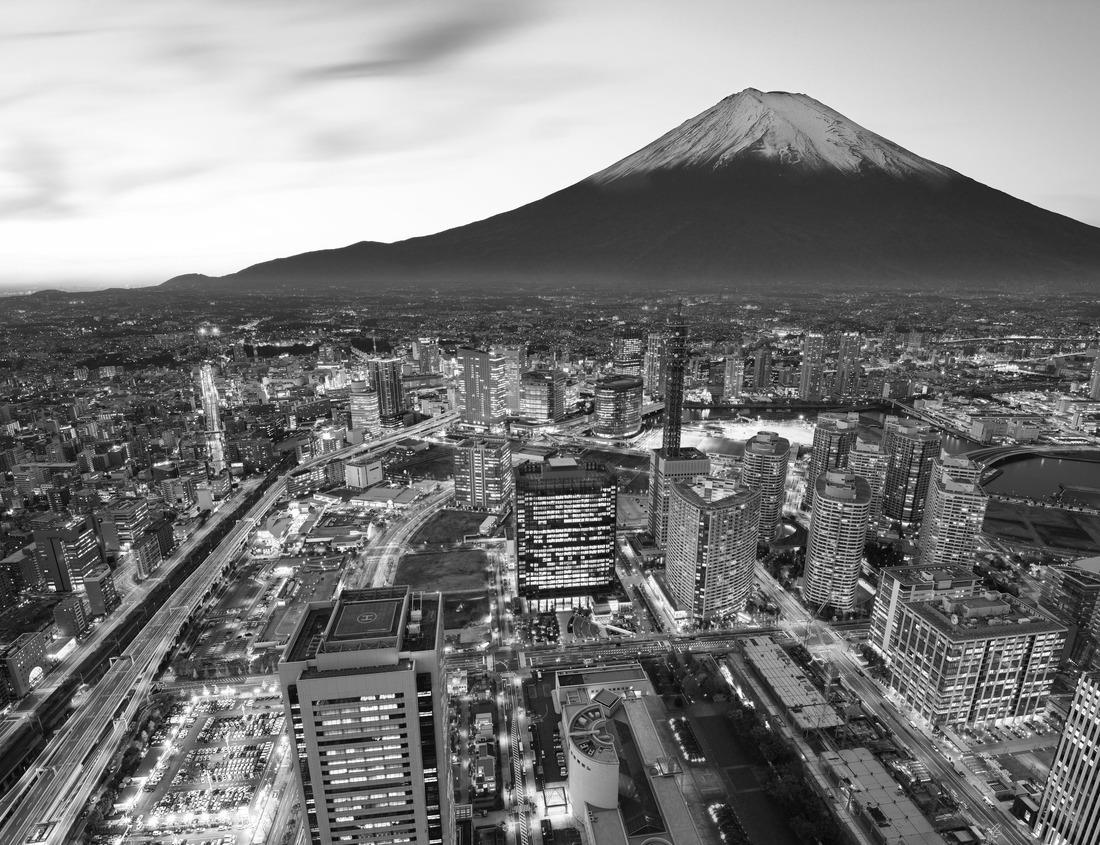 Noah Jigsaw Puzzle New Smyrna Beach Dunes in black white 1000 pieces