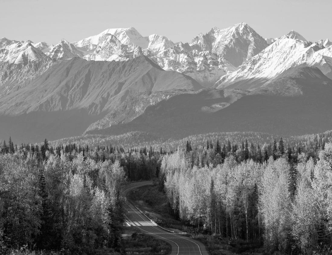 Noah Jigsaw Puzzle Fort Lauderdale Skyline and Intracoastal Waterway in black white 1000 pieces