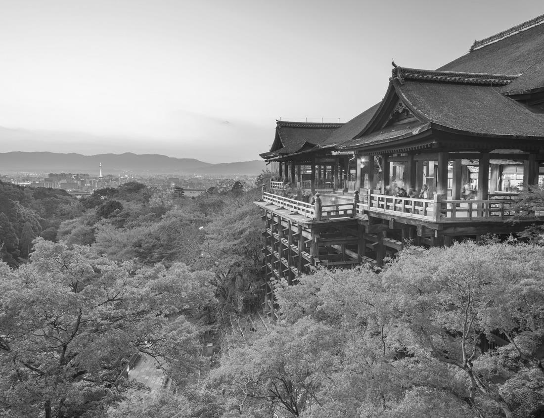 Noah Jigsaw Puzzle Downtown Fort Lauderdale, Florida, USA skyline from Waterway in black white 1000 pieces
