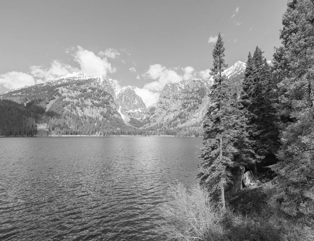 Noah Jigsaw Puzzle Phelps Lake is seen among the mountains, forests, and wild nature of Grand Teton National Park, Wyoming. in black white 1000 pieces