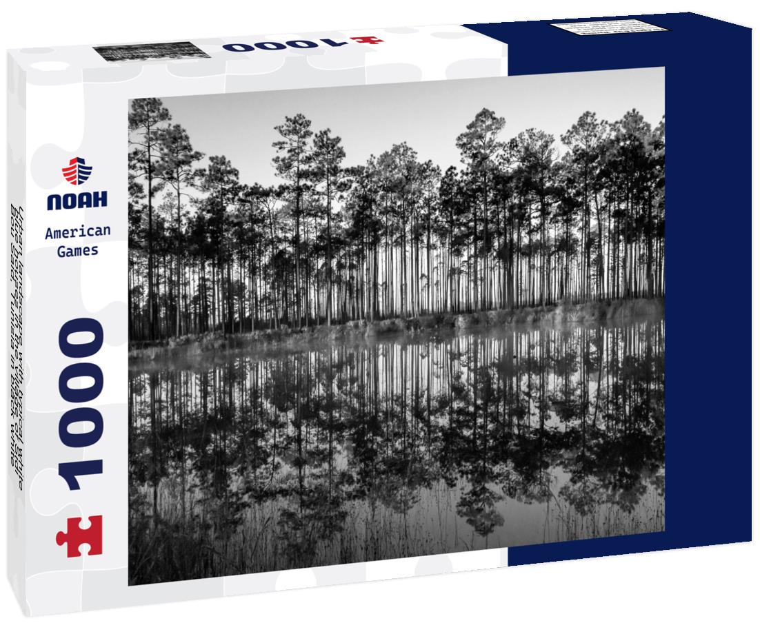 Noah Jigsaw Puzzle Urban landscape with typical white, blue houses in the village of Sidi Bou Said, Tunisia in black white 1000 pieces