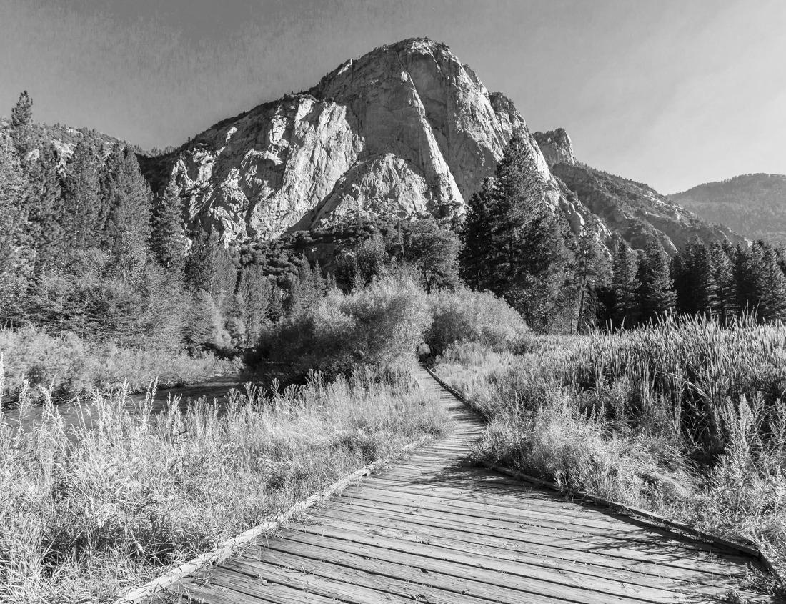 Noah Jigsaw Puzzle Aizuwakamatsu Castle and Cherry Blossom in Fukushima, Japan in black white 1000 pieces