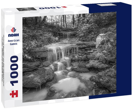 Noah Jigsaw Puzzle Roland fountain on the marketplace of Fritzlar, Kassel region, Hesse, Germany in black white 1000 pieces