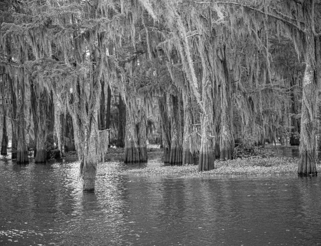 Noah Jigsaw Puzzle Castelsardo town and harbor in Sardinia, Sassari Province, Italy. Beaches and villas in Sardinia in black white 1000 pieces
