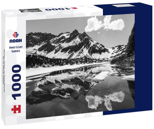 Noah Jigsaw Puzzle Aerial views of Fort Worth, Tx in black white 1000 pieces