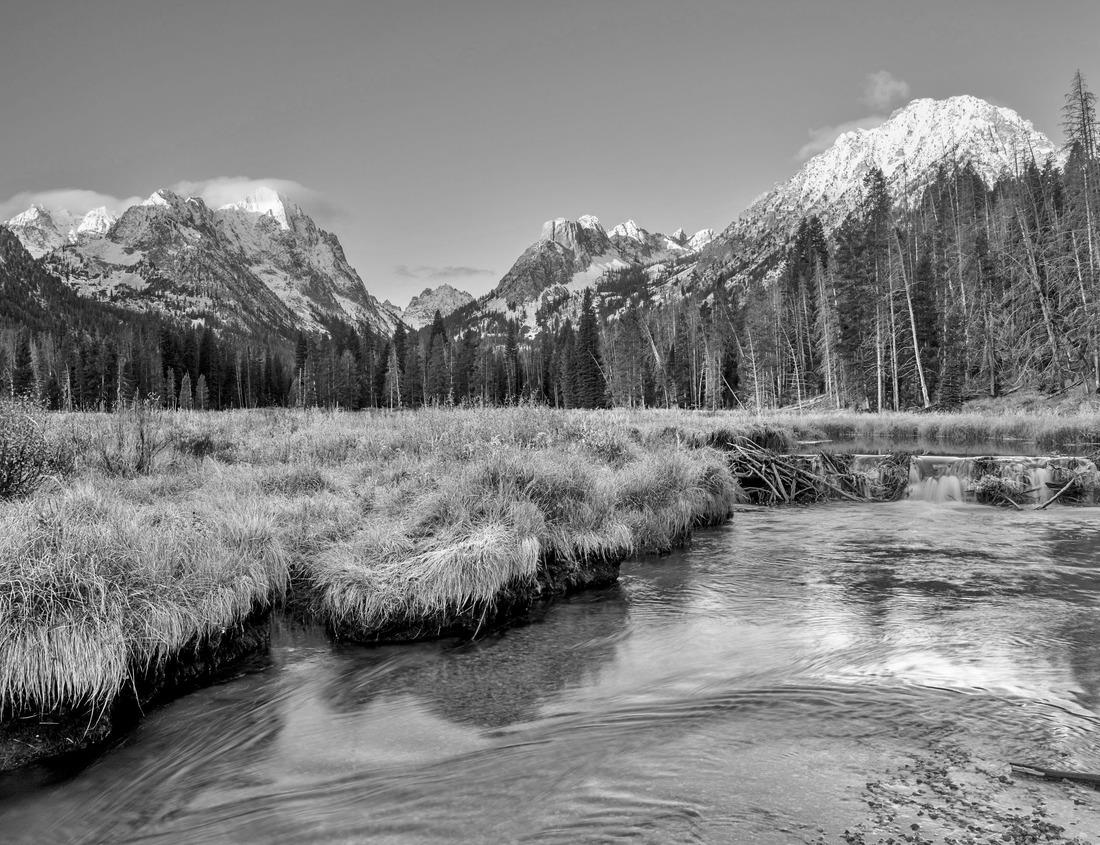 Noah Jigsaw Puzzle Clearwater Beach at sunset in black white 1000 pieces
