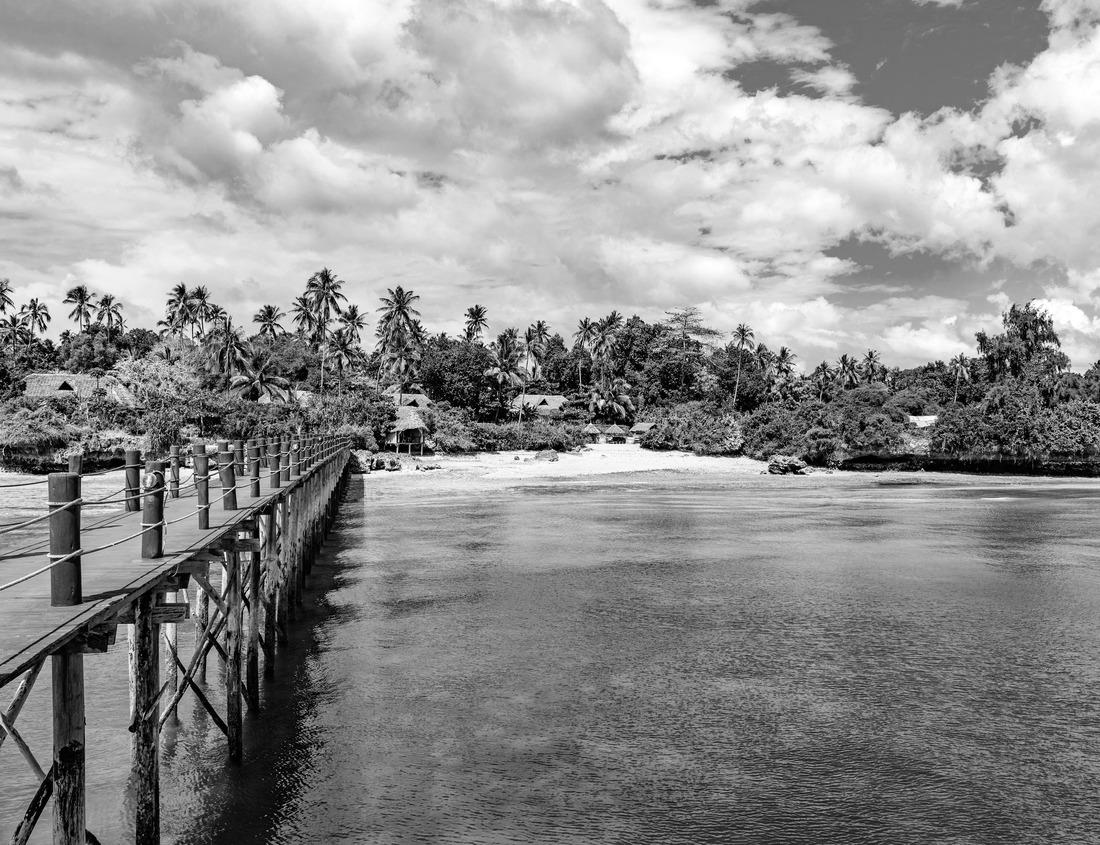 Noah Jigsaw Puzzle Charlotte North Carolina Downtown Skyline in black white 1000 pieces