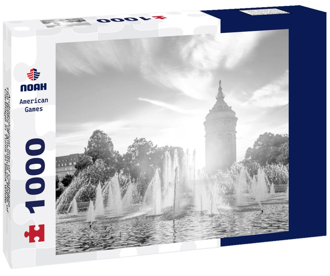 Noah Jigsaw Puzzle Archaeological Site of Carthage - The Baths of Antoninus or Baths of Carthage in Tunis in black white 1000 pieces