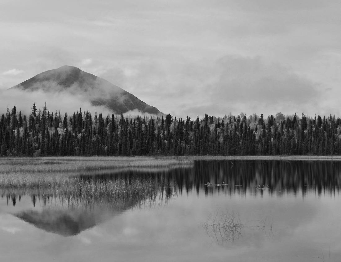 Noah Jigsaw Puzzle Gliwice market square. Gliwice, Silesia, Poland in black white 1000 pieces