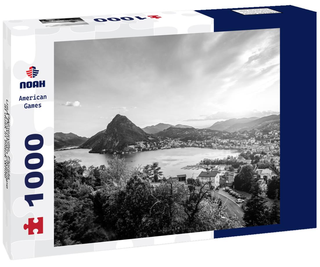 Noah Jigsaw Puzzle Gainesville, Florida, USA Downtown cityscape at dusk in black white 1000 pieces