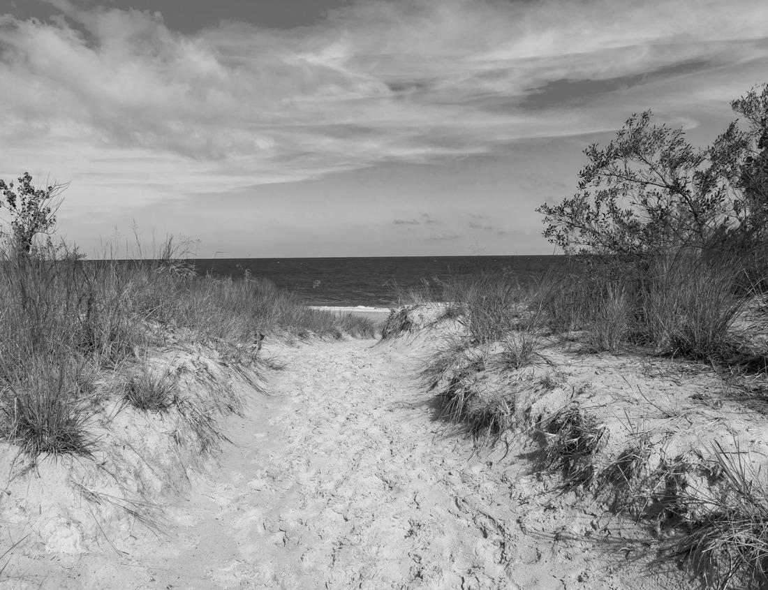 Noah Jigsaw Puzzle Kansas City, Missouri, USA downtown skyline panorama at dusk in black white 1000 pieces