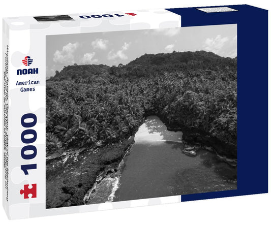 Noah Jigsaw Puzzle Wurzburg, Bavaria, Germany, view of the Marienberg Fortress and the Old Main Bridge reflecting on the river at sunrise in black white 1000 pieces