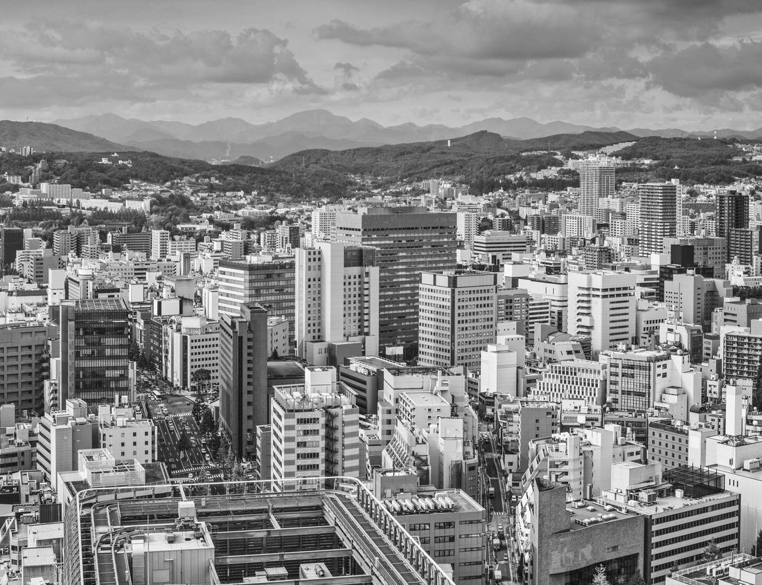 Noah Jigsaw Puzzle Calke Abbey in Derbyshire in black white 1000 pieces