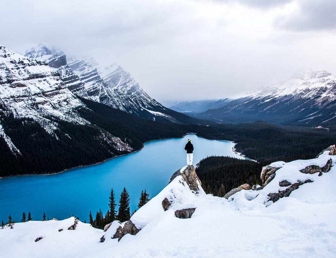 Noah Jigsaw Puzzle View of Peyto Lake, Banff National Park, Alberta, Canada. in black white 1000 pieces