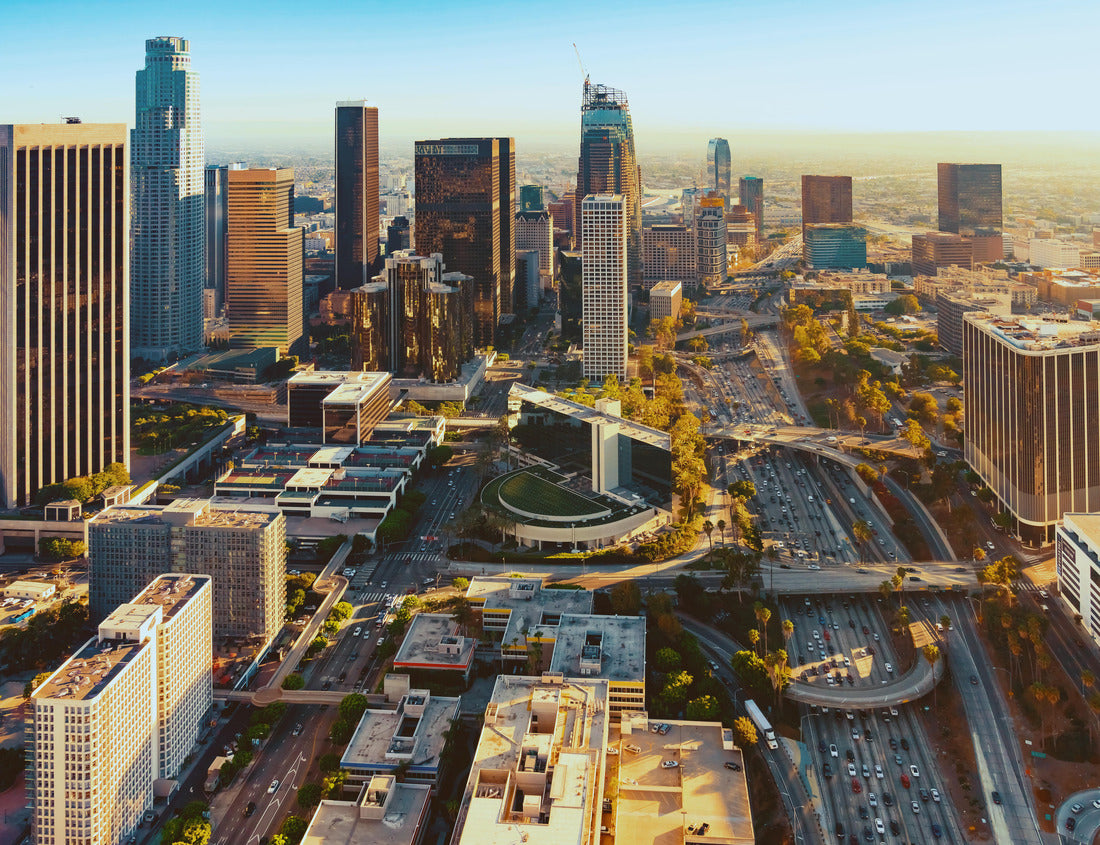 Noah Jigsaw Puzzle Aerial view of a Downtown Los Angeles at sunset 1000 pieces