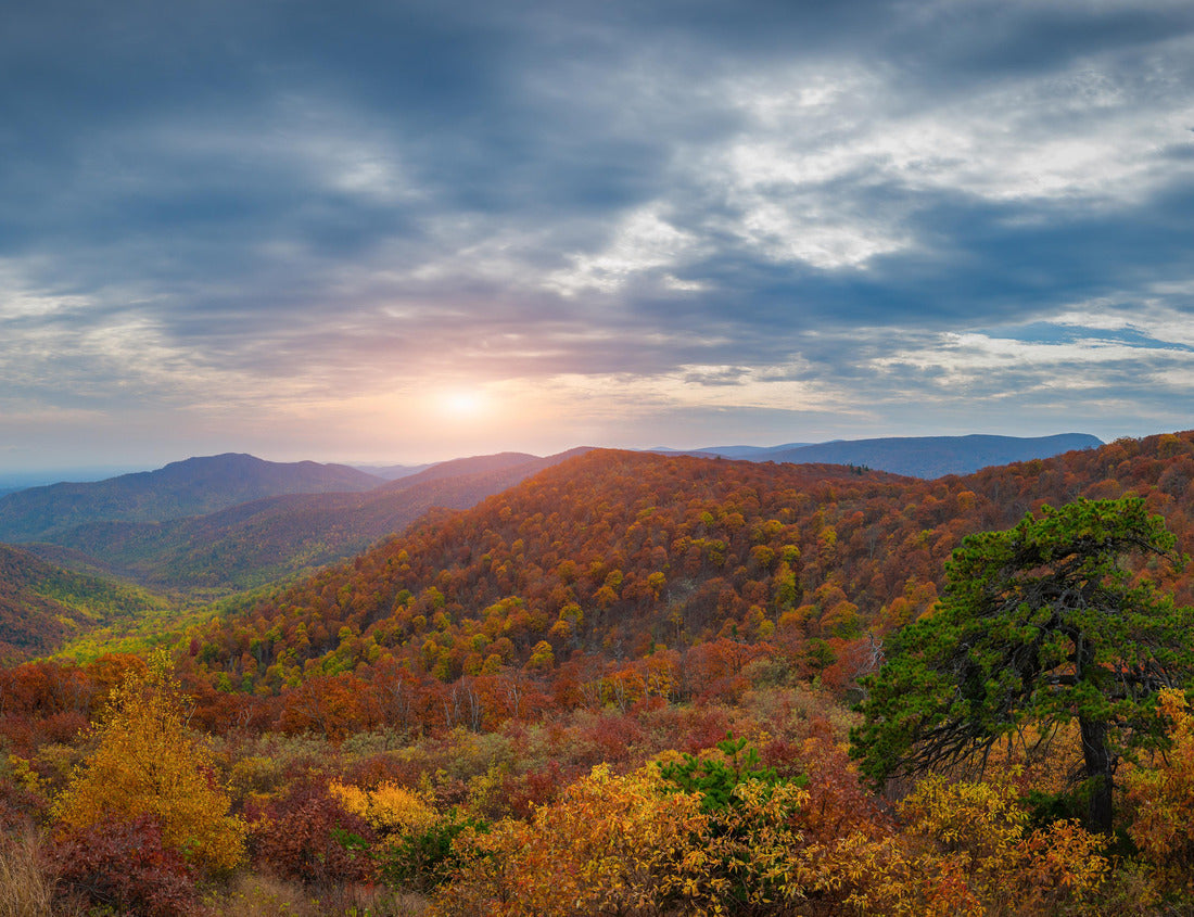 Noah Jigsaw Puzzle An overlook at Shenandoah National Park in Virginia with autumn colors 1000 pieces