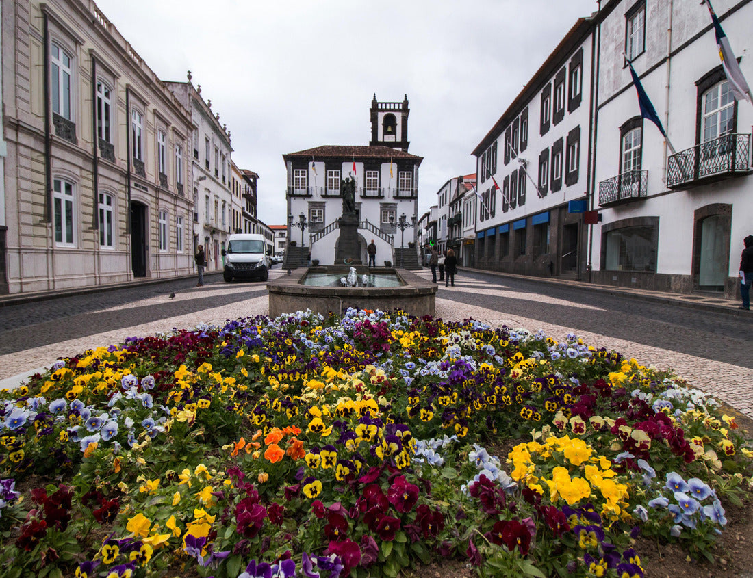 Noah Jigsaw Puzzle City Hall center in Ponta Delgada, Azores, Portugal 1000 pieces