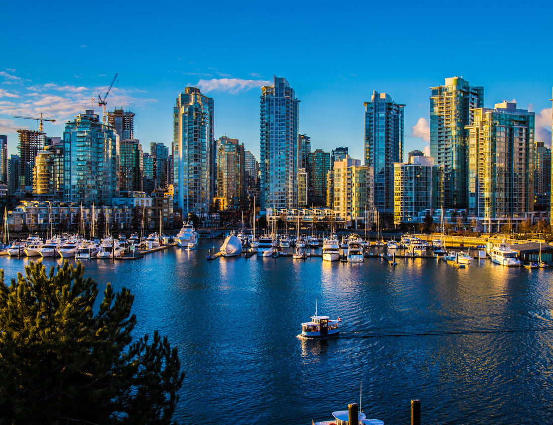 Noah Jigsaw Puzzle Beautiful view of Vancouver, British Columbia, Canada 1000 pieces