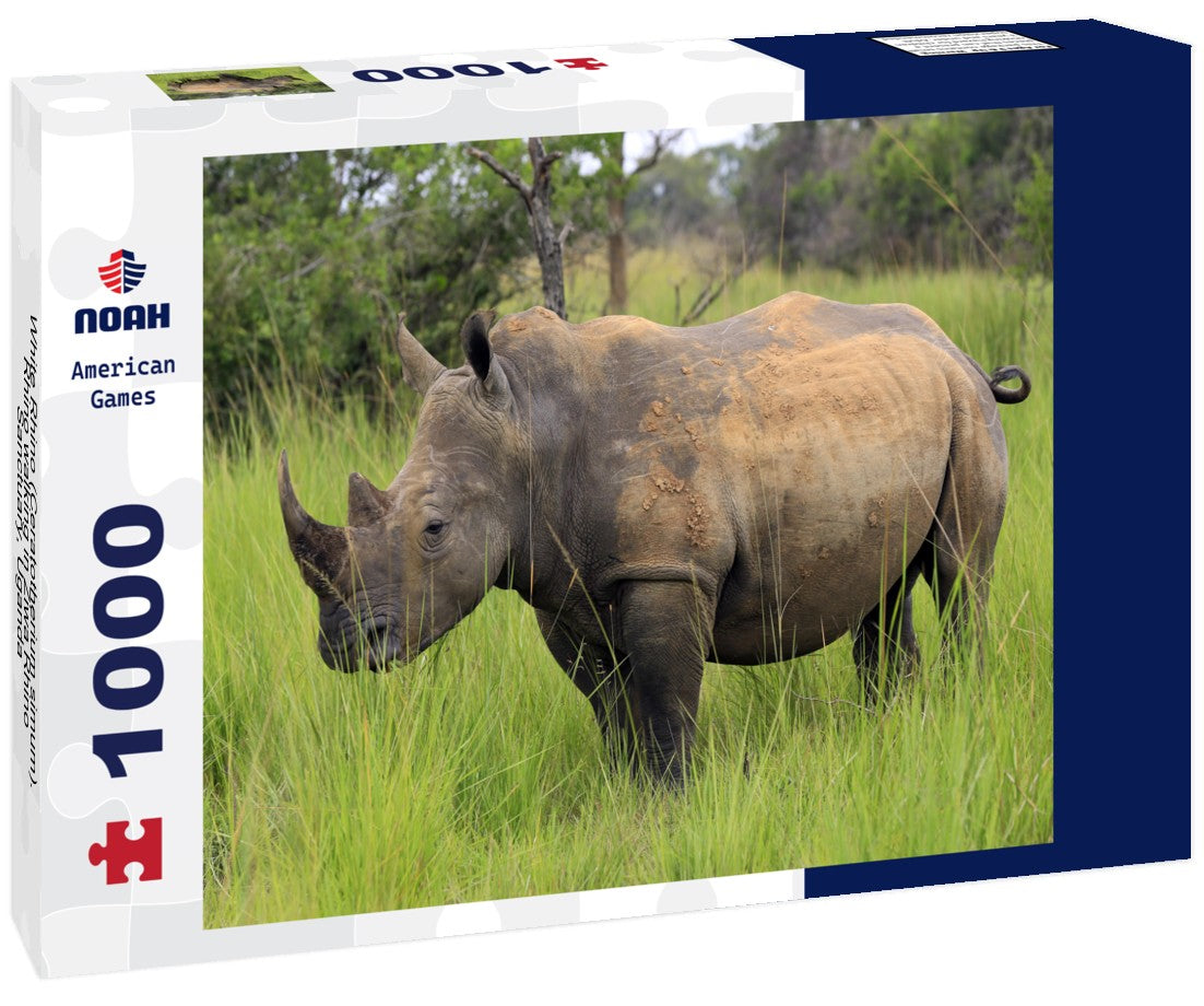 Noah Jigsaw Puzzle White Rhino walks in Ziwa Rhino Sanctuary, Uganda, as part of a conservation effort. in black white 1000 pieces